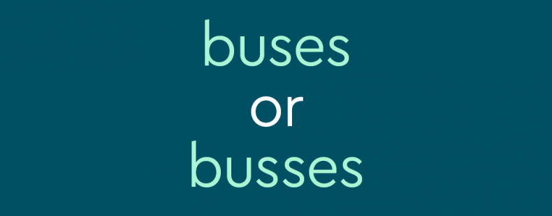 文本在背景光teal字体暗蓝绿色:公共汽车或公交车