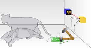 插图描绘的悖论薛定谔的猫,用一只灰色的猫既死又活而显示锤打碎一瓶毒药