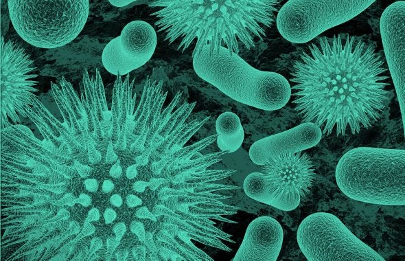 细菌和病毒的绿色过滤图像